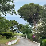 Residenza Belvedere - Lemon With Terrace & Garden Near The Sea * Scalea
